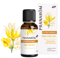 Смесь эфирных масел "Уютный Дом" 30мл Pranarom