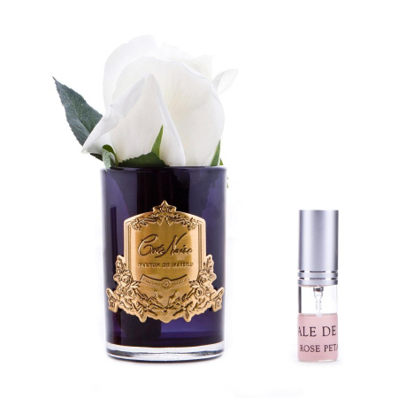 Бутон розы бежевой в черной вазе Cote Noire