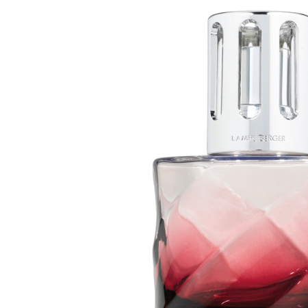 Набор с Лампой Берже "Спираль" ароматом "Ягоды Годжи" 250мл Maison Berger