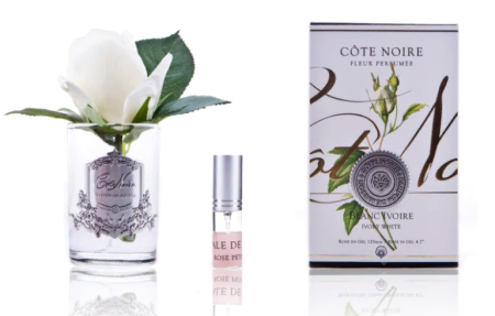 Бутон розы бежевой в прозрачной вазе Cote Noire