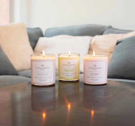 Аромасвеча "Свежая вербена" 180г Plantes et Parfums