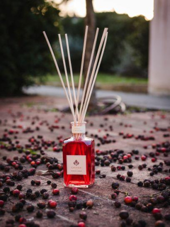 Аромадиффузор "Красный пряный апельсин" 500мл Chiara