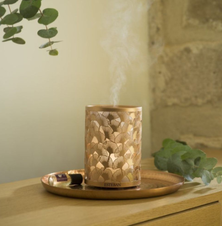 Аромалампа ультразвуковая "Цветы и свет" Esteban Parfums