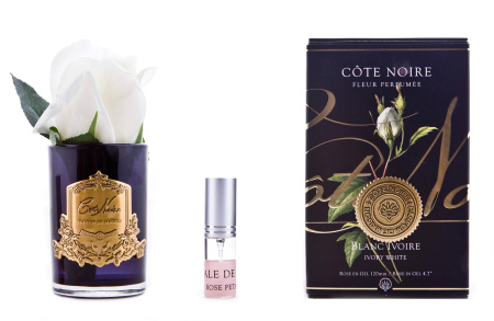 Бутон розы бежевой в черной вазе Cote Noire