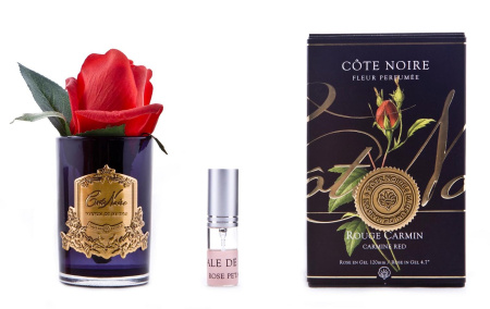 Бутон розы красной в черной вазе Cote Noire