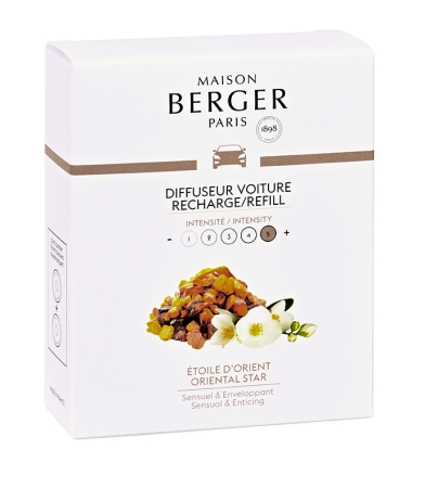 Аромат для автомобильной клипсы "Восточная звезда" Maison Berger