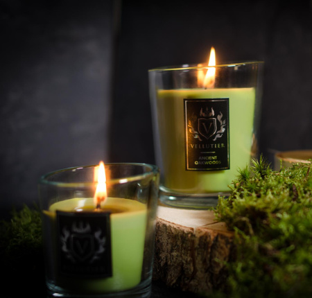 Аромасвеча "Древние дубы" 90гр Vellutier