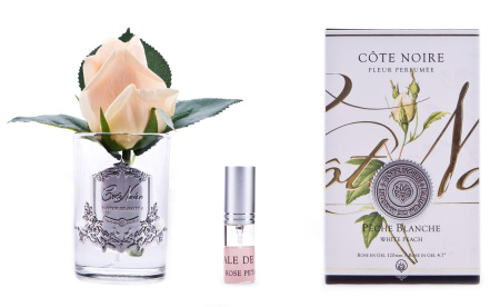 Бутон розы коралловой в прозрачной вазе Cote Noire