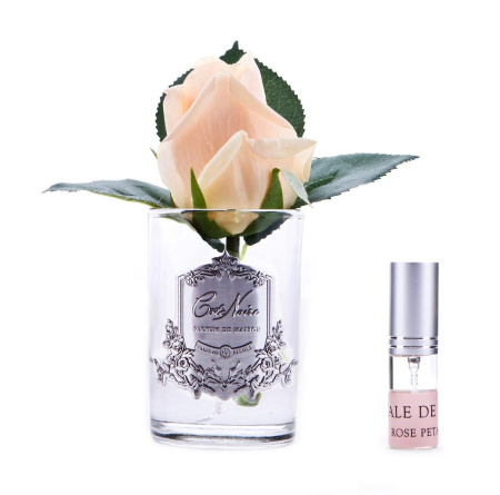 Бутон розы коралловой в прозрачной вазе Cote Noire