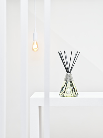 Аромадиффузор by Starck зеленый с ароматом Peau d'ailleurs 400мл Maison Berger