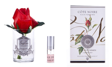 Бутон розы красной в прозрачной вазе Cote Noire