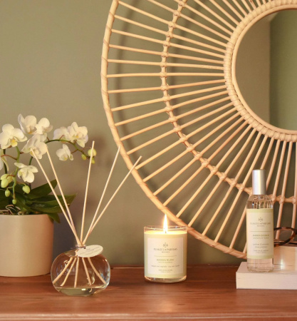 Интерьерные духи "Белый бамбук" 100мл Plantes et Parfums