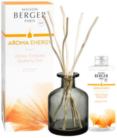 Аромадиффузор "ЭНЕРГИЯ" 180мл Maison Berger