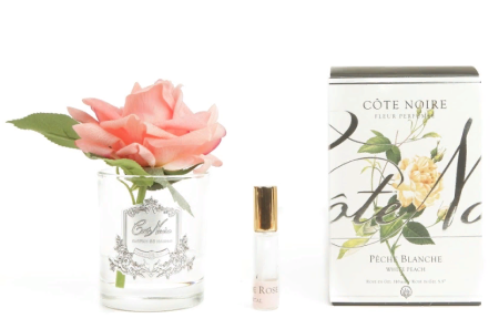 Французская роза персиковая в прозрачной вазе Cote Noire