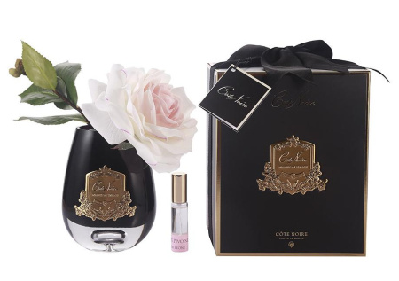 Французская бело-розовая роза в темной вазе Cote Noire