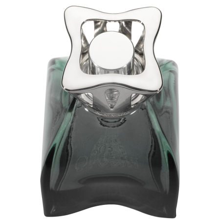 Набор с Лампой Берже "Лилли" ароматом "Дикие Земли" 250мл Maison Berger