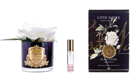 Ароматизированная роза бежевая в черной вазе Cote Noire