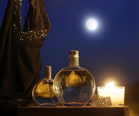 Аромадиффузор "ЛУНА" 500мл Amelie et Melanie