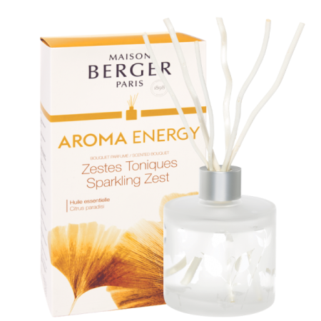 Аромадиффузор с палочками "Арома Энергия" 180мл Maison Berger